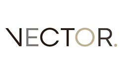 Vector Vector